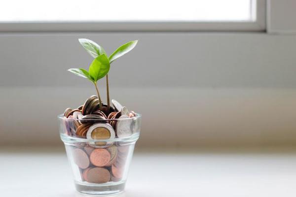 Savings Money Unsplash 0