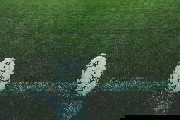 A white football resting on the edge of a green grass pitch, with a goalpost in the distance and trees silhouetted against a clear evening sky