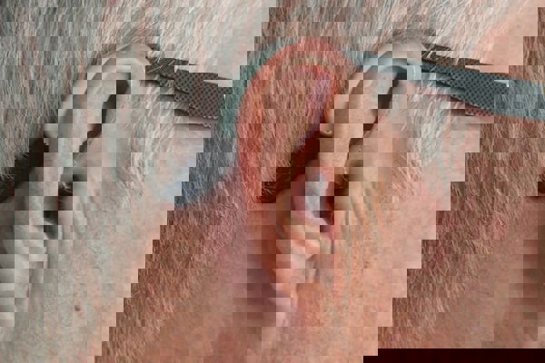 https://www.morton-fraser.com/sites/default/files/2022-04/HIGH_RES_MF_Gail%20Watt_027.jpg