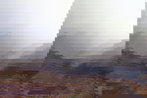 https://www.morton-fraser.com/sites/default/files/2022-04/HIGH_RES_MF_Gail%20Watt_027.jpg