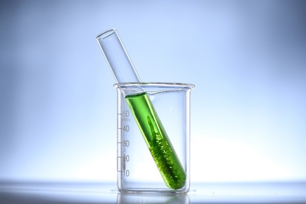 Microalgae