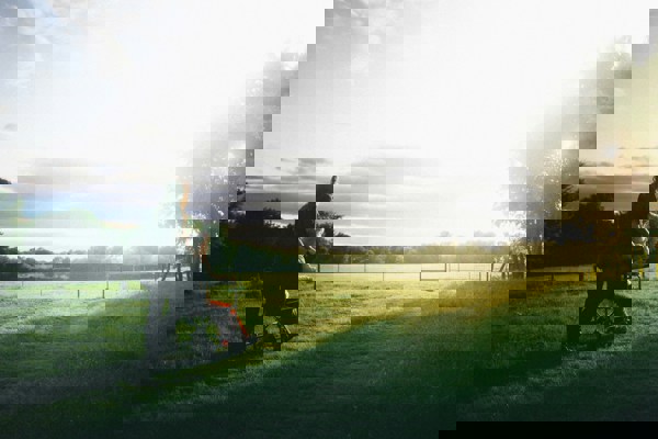 Dominik Lange Vuoiqw4oeli Unsplash